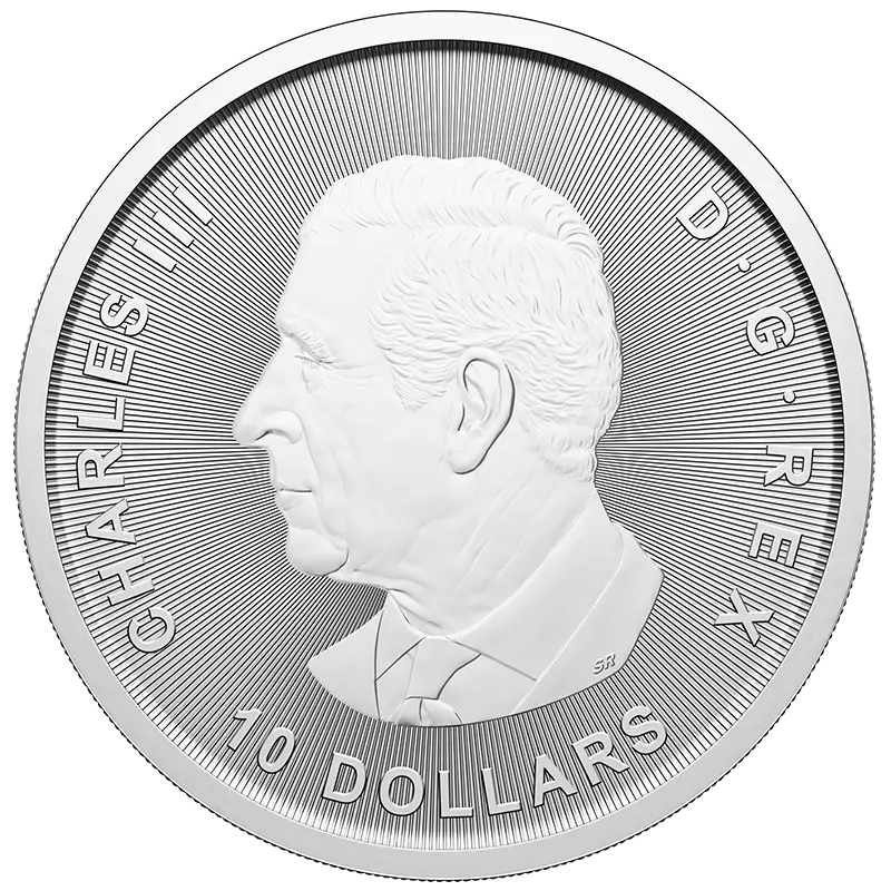 2 oz Bull and Bear Silver Coin | 2025